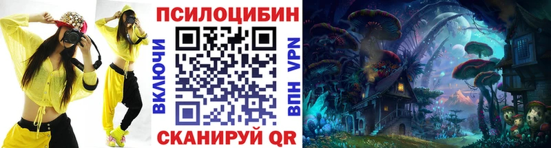 Купить где  Кушва  Псилоцибиновые грибы Cubensis 
